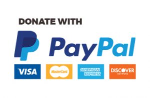 Donate with paypal button